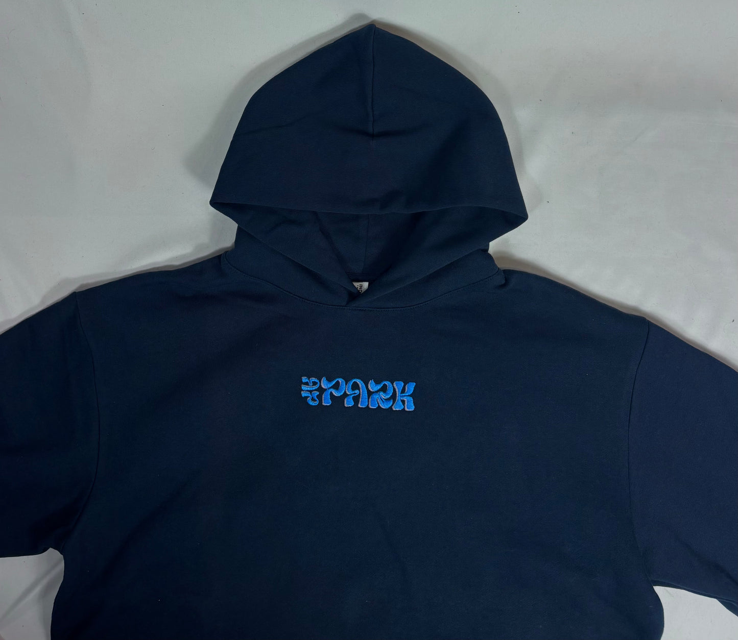 AP Park (navy) Hoodie